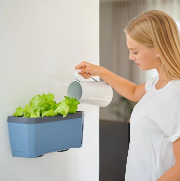 NÁSTENNÝ DRŽIAK NA KVETINÁČ HARRY HERBS polievanie